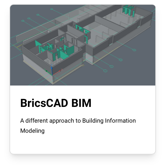 BIM